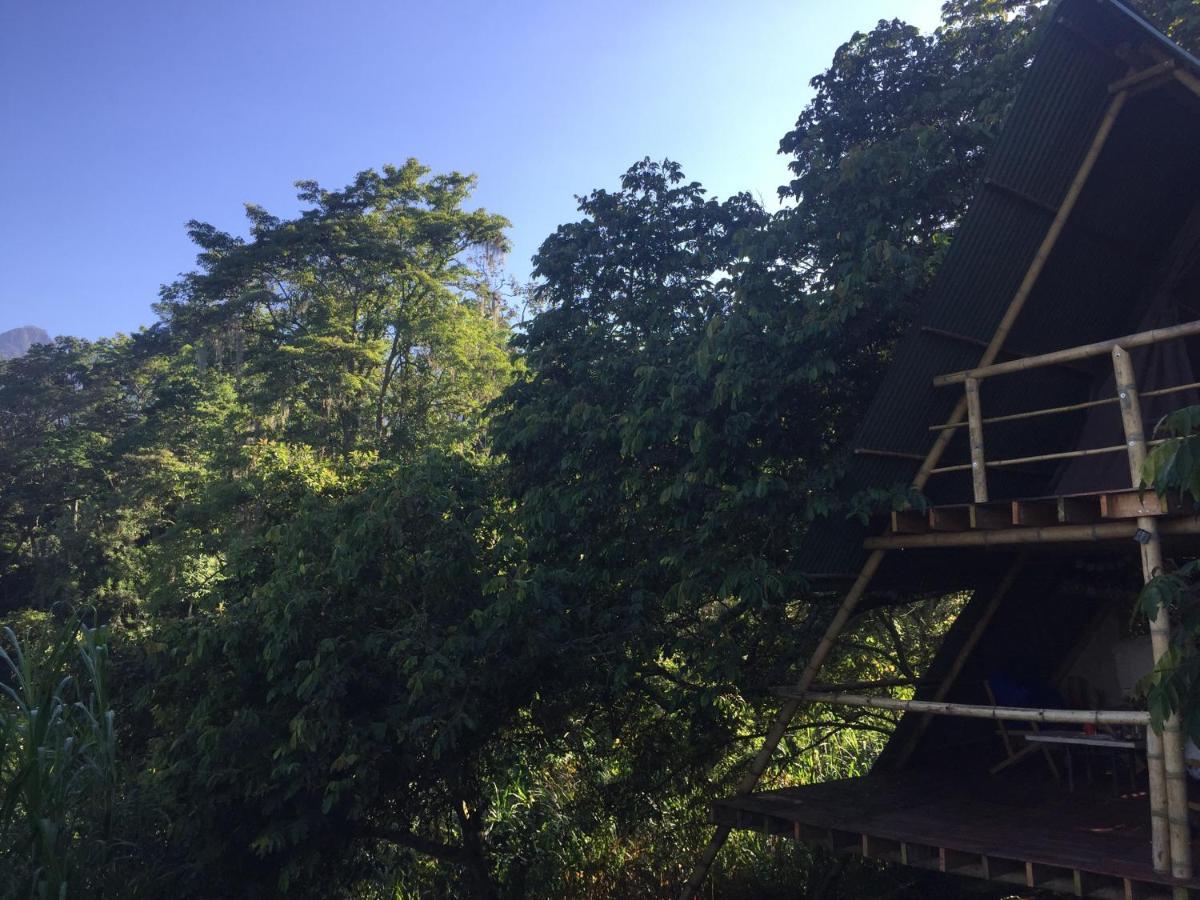 Glamping El Arbol En La Casa Βίλα San Antonio del Tequendama Εξωτερικό φωτογραφία