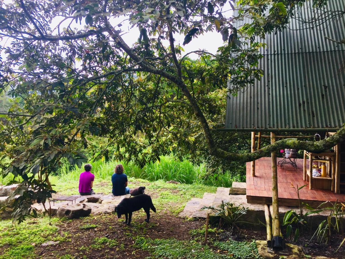 Glamping El Arbol En La Casa Βίλα San Antonio del Tequendama Εξωτερικό φωτογραφία