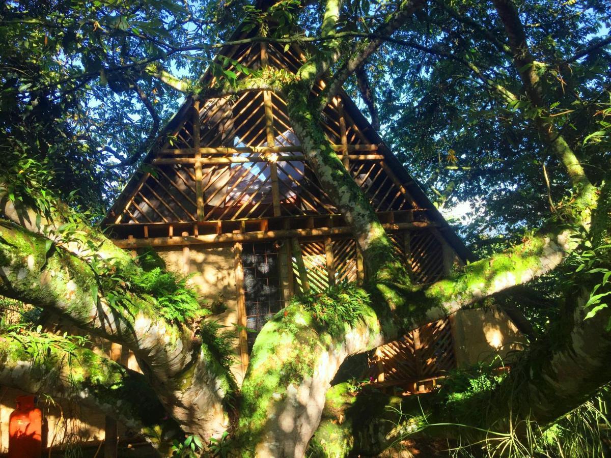 Glamping El Arbol En La Casa Βίλα San Antonio del Tequendama Εξωτερικό φωτογραφία