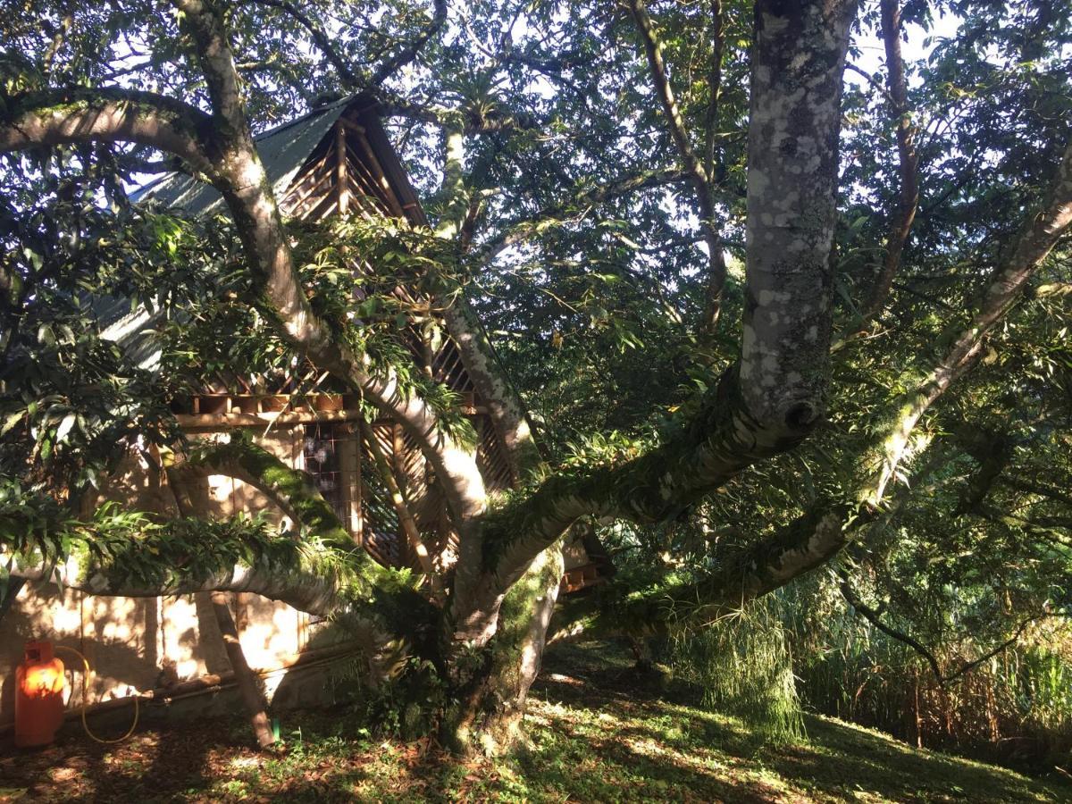 Glamping El Arbol En La Casa Βίλα San Antonio del Tequendama Εξωτερικό φωτογραφία