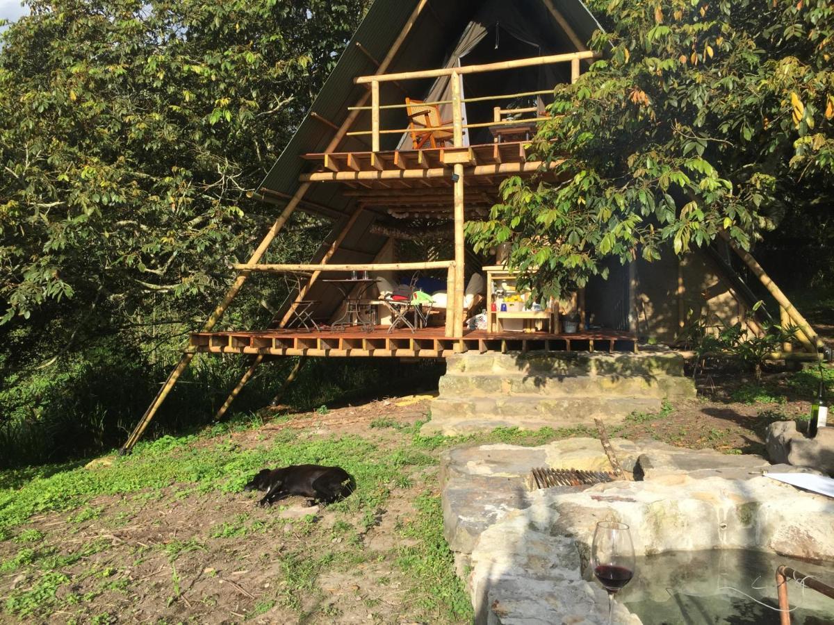 Glamping El Arbol En La Casa Βίλα San Antonio del Tequendama Εξωτερικό φωτογραφία