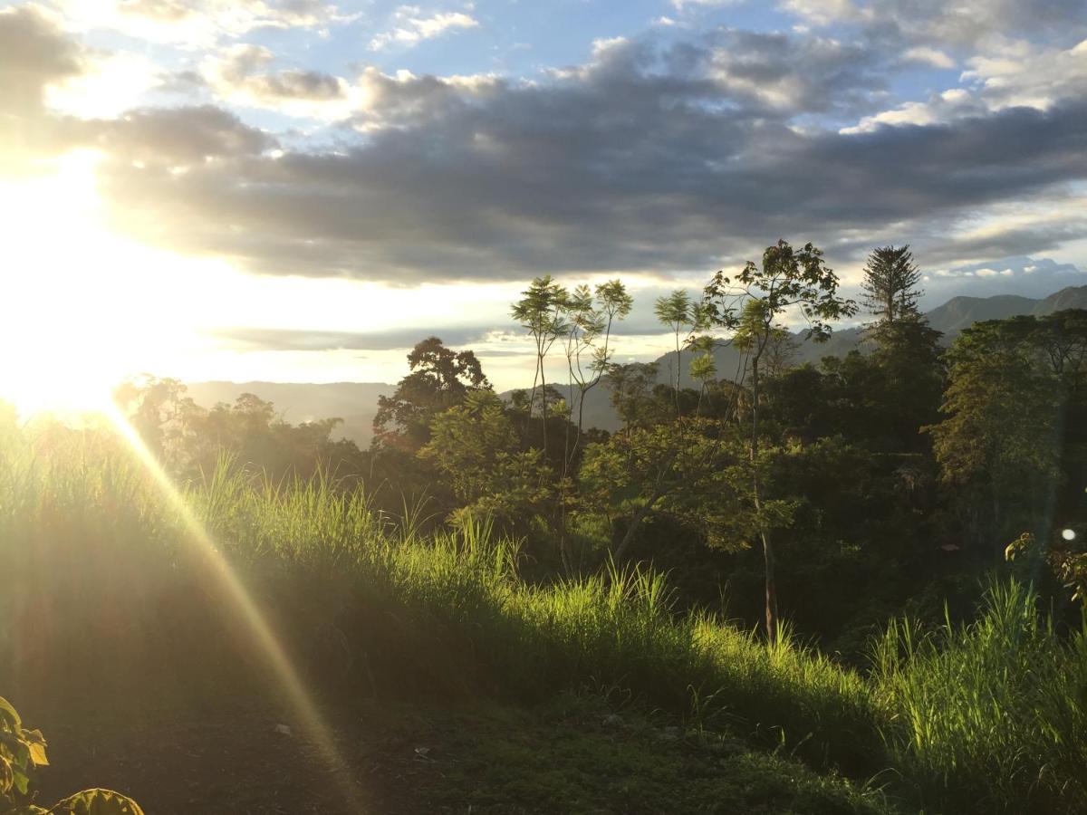 Glamping El Arbol En La Casa Βίλα San Antonio del Tequendama Εξωτερικό φωτογραφία