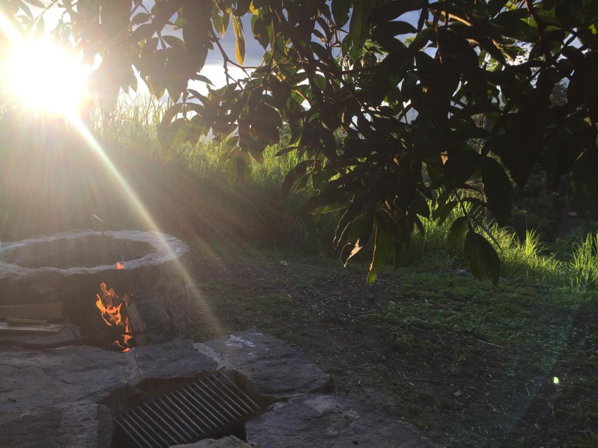 Glamping El Arbol En La Casa Βίλα San Antonio del Tequendama Εξωτερικό φωτογραφία