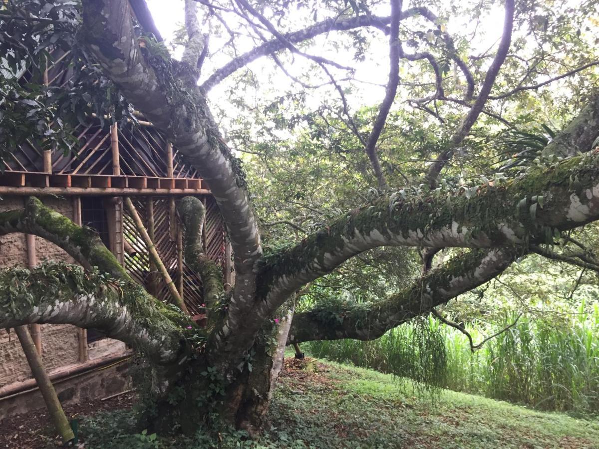 Glamping El Arbol En La Casa Βίλα San Antonio del Tequendama Εξωτερικό φωτογραφία