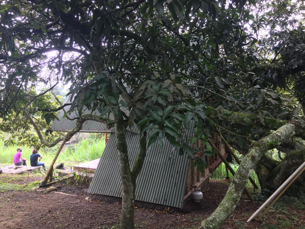 Glamping El Arbol En La Casa Βίλα San Antonio del Tequendama Εξωτερικό φωτογραφία